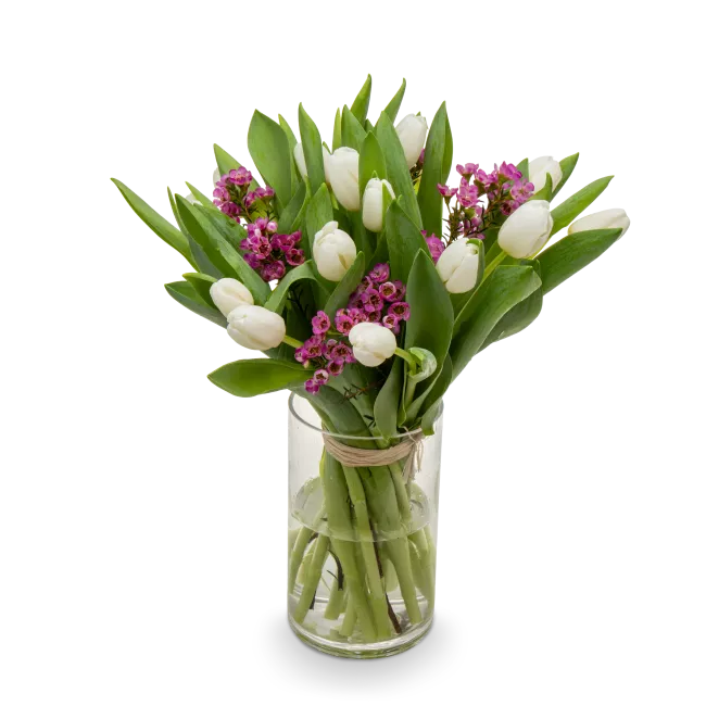 Kytice bílých tulipánů